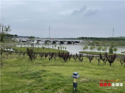 泰安市人民政府 今日泰安 杨洪涛到泰山区、岱岳区调研