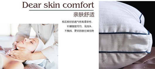 紫罗兰生机立体枕 健康睡眠，从此高枕无忧