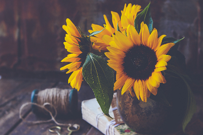 信赖巴彦淖尔武汉助孕费用及染整行业解析